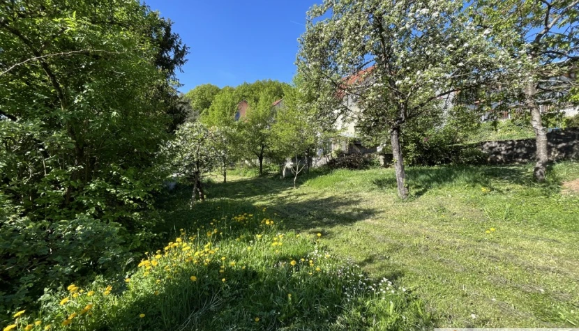 Aussenansicht1